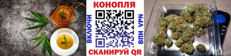 как найти   Новоржев  МЕГА сайт  Печенье с ТГК конопля 