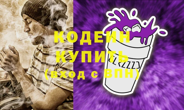 первитин Кропоткин
