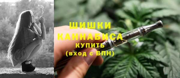 ГАЛЛЮЦИНОГЕННЫЕ ГРИБЫ Гусиноозёрск