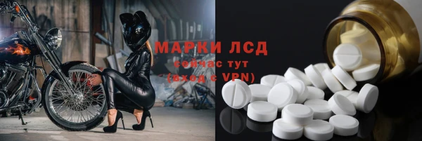 ECSTASY Гусев