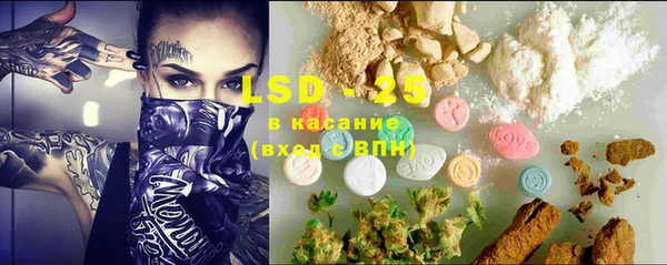 ECSTASY Гусев
