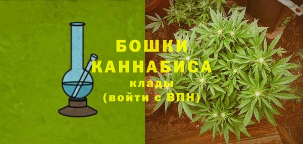 ECSTASY Гусев
