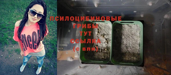 мет Нязепетровск