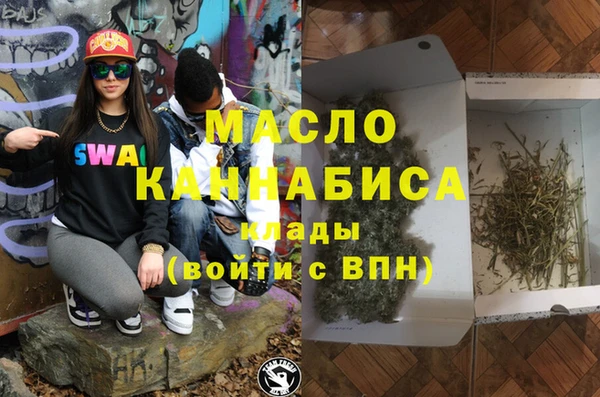 дживик Няндома