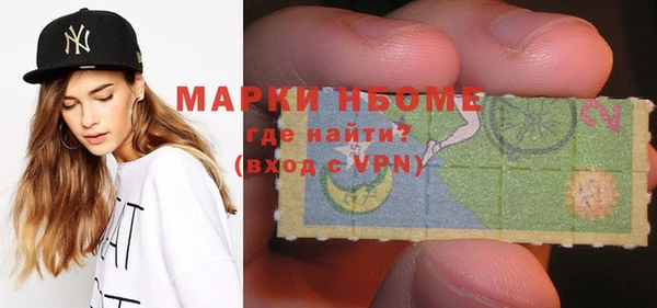 дживик Няндома