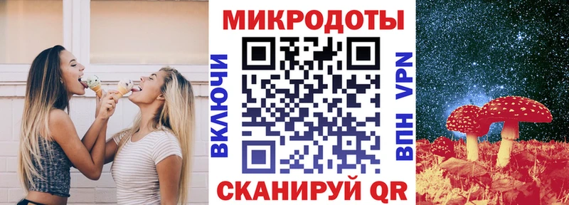 shop наркотические препараты  Новоржев  Псилоцибиновые грибы Psilocybine cubensis 